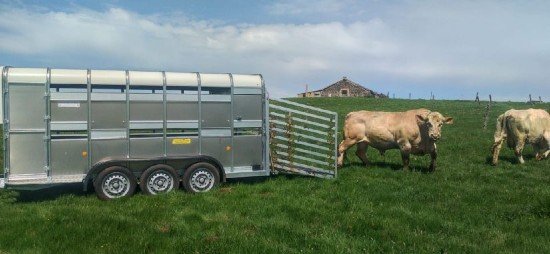 Remorques bétaillère